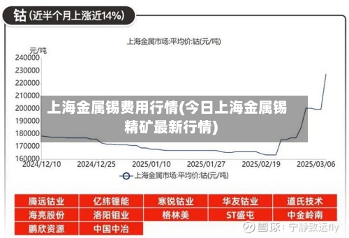 上海金属锡费用行情(今日上海金属锡精矿最新行情)-第2张图片
