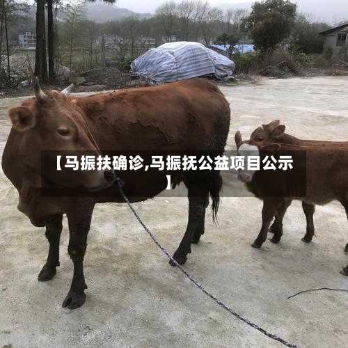 【马振扶确诊,马振抚公益项目公示】