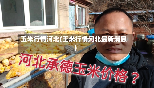 玉米行情河北(玉米行情河北最新消息)