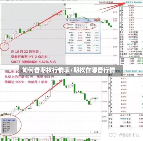 如何看期权行情表/期权在哪看行情