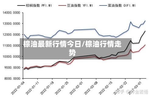 棕油最新行情今日/棕油行情走势
