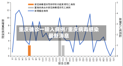 重庆确诊一输入病例/重庆病毒感染最新消息