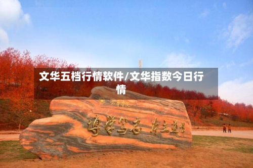 文华五档行情软件/文华指数今日行情