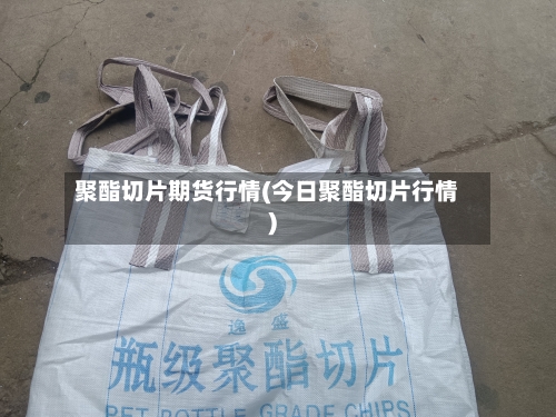 聚酯切片期货行情(今日聚酯切片行情)-第3张图片
