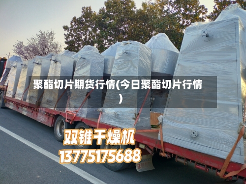 聚酯切片期货行情(今日聚酯切片行情)-第1张图片