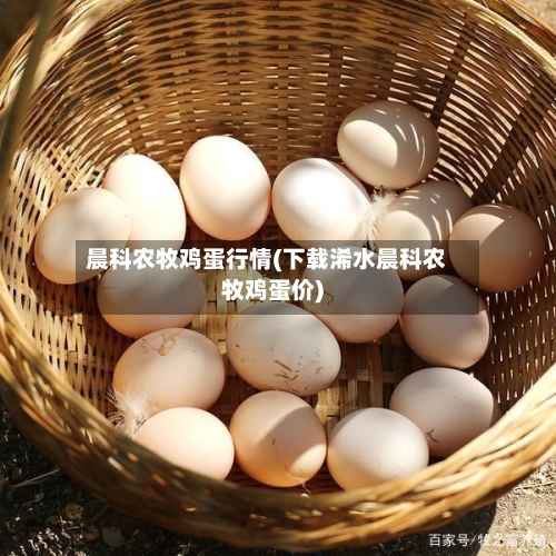 晨科农牧鸡蛋行情(下载浠水晨科农牧鸡蛋价)-第2张图片