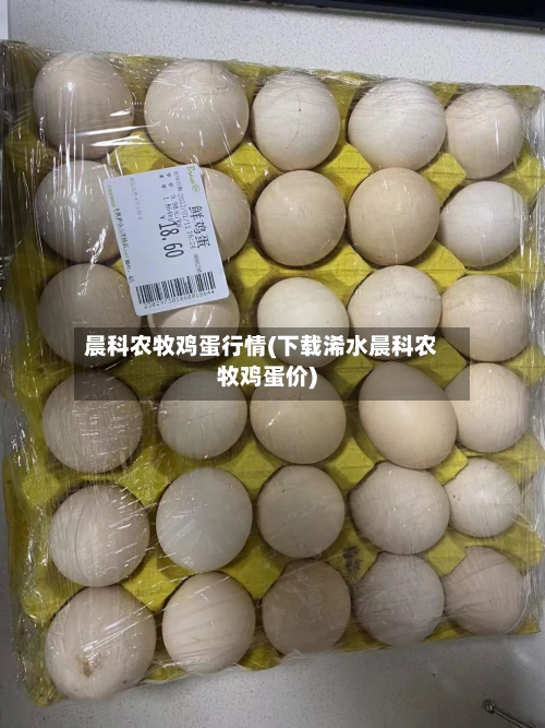 晨科农牧鸡蛋行情(下载浠水晨科农牧鸡蛋价)