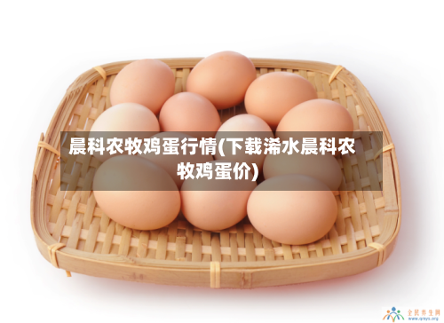 晨科农牧鸡蛋行情(下载浠水晨科农牧鸡蛋价)-第3张图片