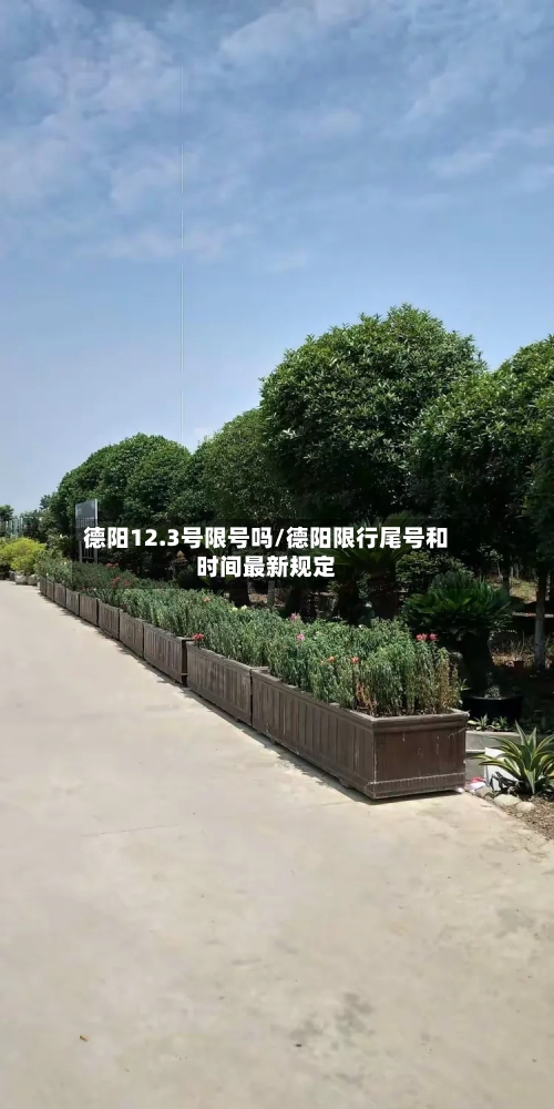 德阳12.3号限号吗/德阳限行尾号和时间最新规定-第2张图片