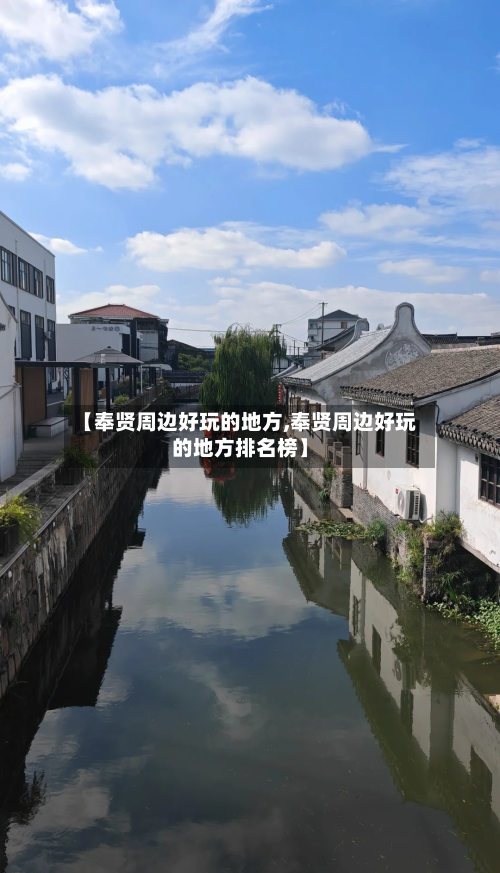 【奉贤周边好玩的地方,奉贤周边好玩的地方排名榜】-第3张图片