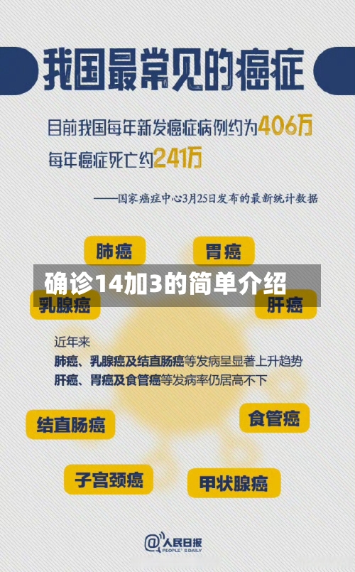 确诊14加3的简单介绍-第2张图片