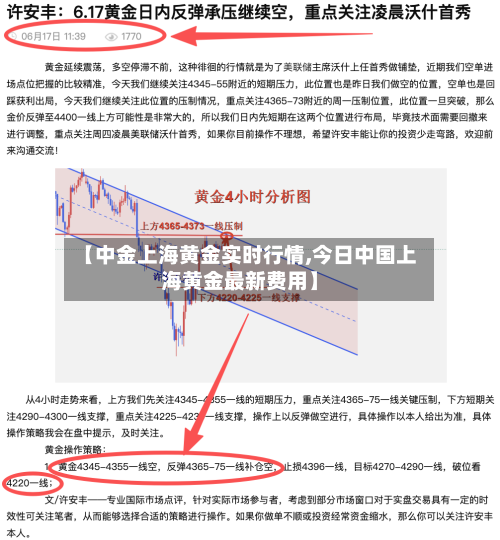 【中金上海黄金实时行情,今日中国上海黄金最新费用】-第2张图片