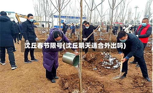 沈丘春节限号(沈丘明天适合外出吗)