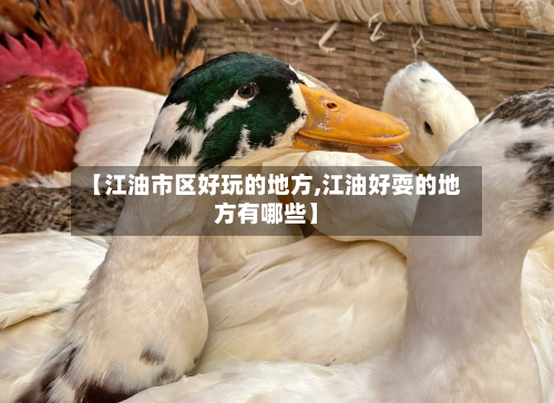 【江油市区好玩的地方,江油好耍的地方有哪些】