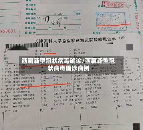 西藏新型冠状病毒确诊/西藏新型冠状病毒确诊病例-第2张图片