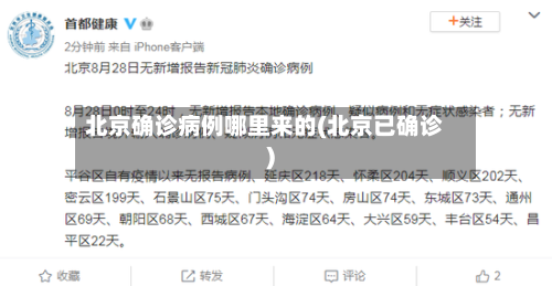 北京确诊病例哪里来的(北京已确诊)
